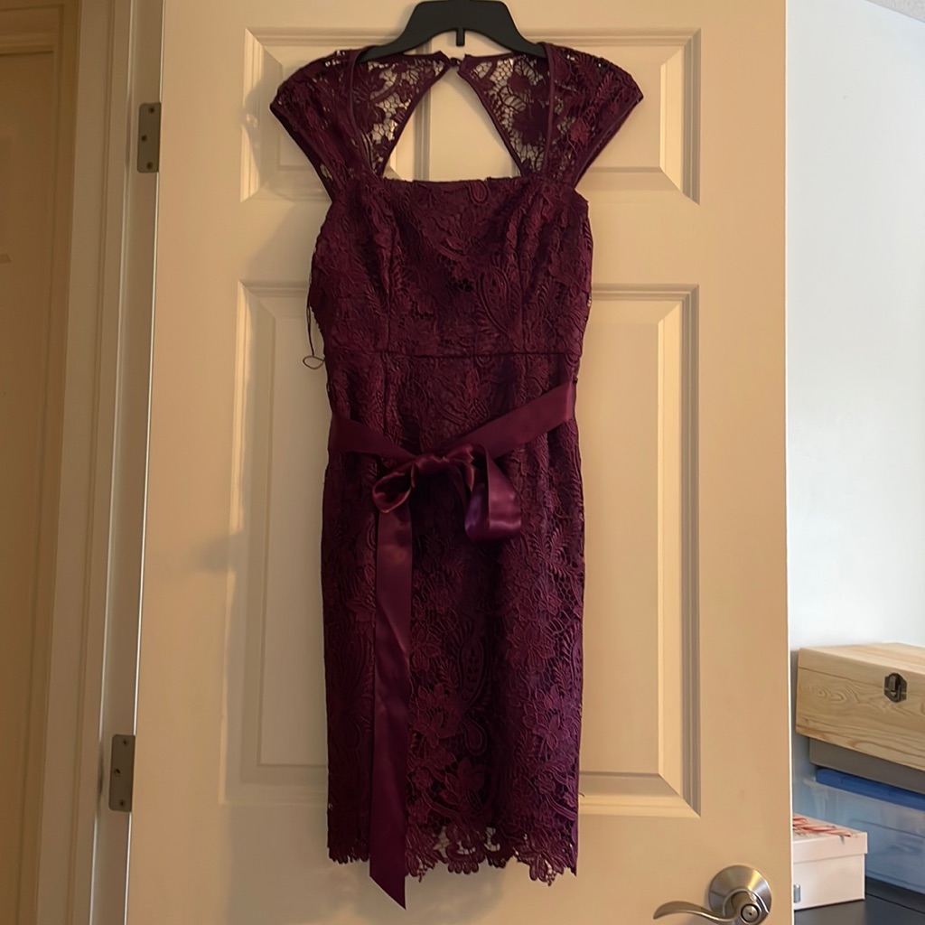 Adrianna Papell Purple Cap Sleeve Lace Dress. Size 2. Nwt